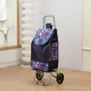 Carrito de Compras de Acero Inoxidable, Carrito Trepador de Escaleras, Carrito Grande Plegable para el Hogar para Personas Mayores, Carrito de Arrastre Manual