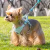Suprimentos para Animais de Estimação Transfronteiriços: Coleira tipo colete para animais de estimação, Peitoral respirável e ajustável para gatos e cães, Guia para passear com cães