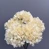 Flores Artificiales de Mini Hortensia de 5 Cabezas Transfronterizas, Materiales Florales para Bodas, Arreglo Floral de Pasillo, Flores Falsas, Arte Floral para Decoración de Bodas