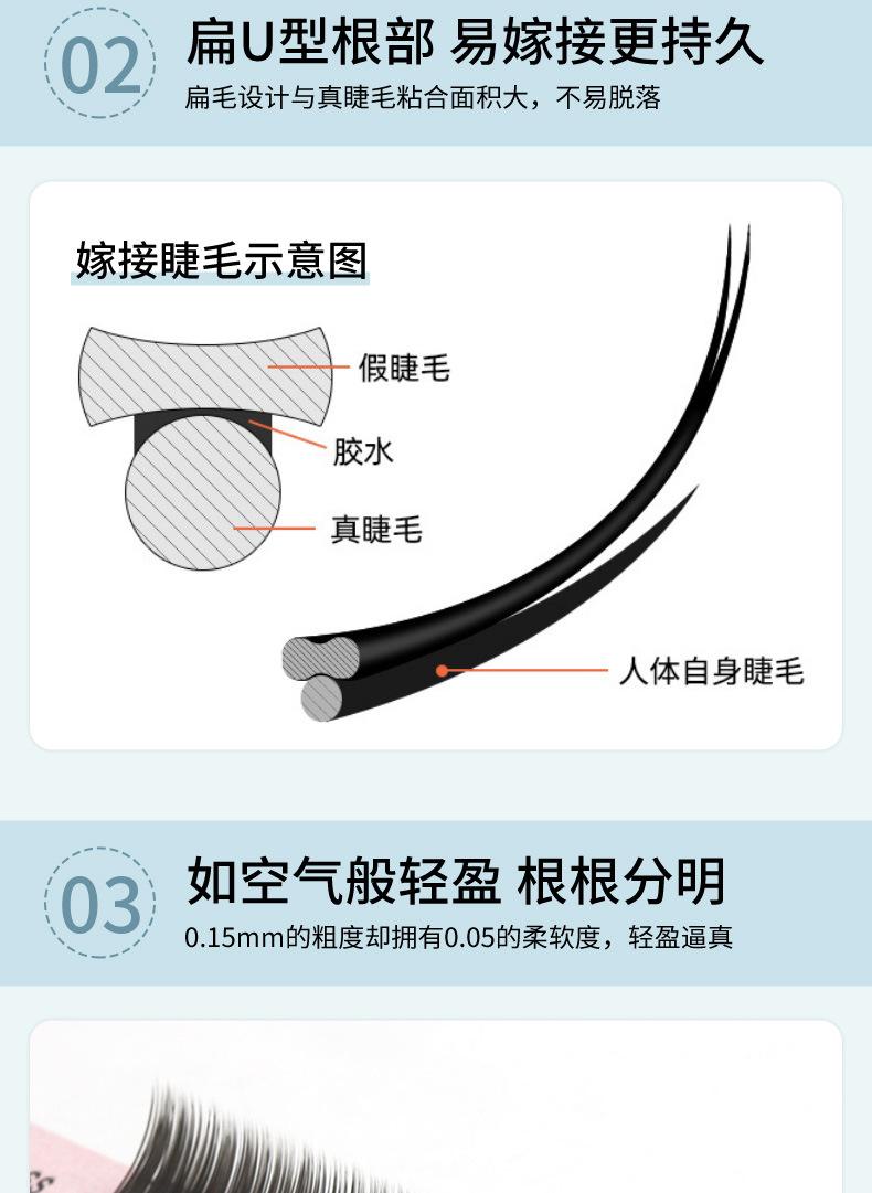 扁毛_06.jpg