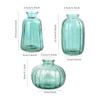 Vaso Mini de Grão Vertical Vaso Criativo Estilo Ins Cor Alta Vidro Transparente Ornamentos para Arranjo de Flores Conjunto de Vasos Pequenos