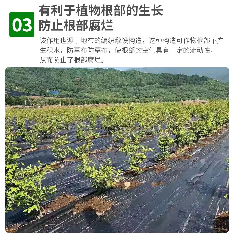 防草布_08.jpg