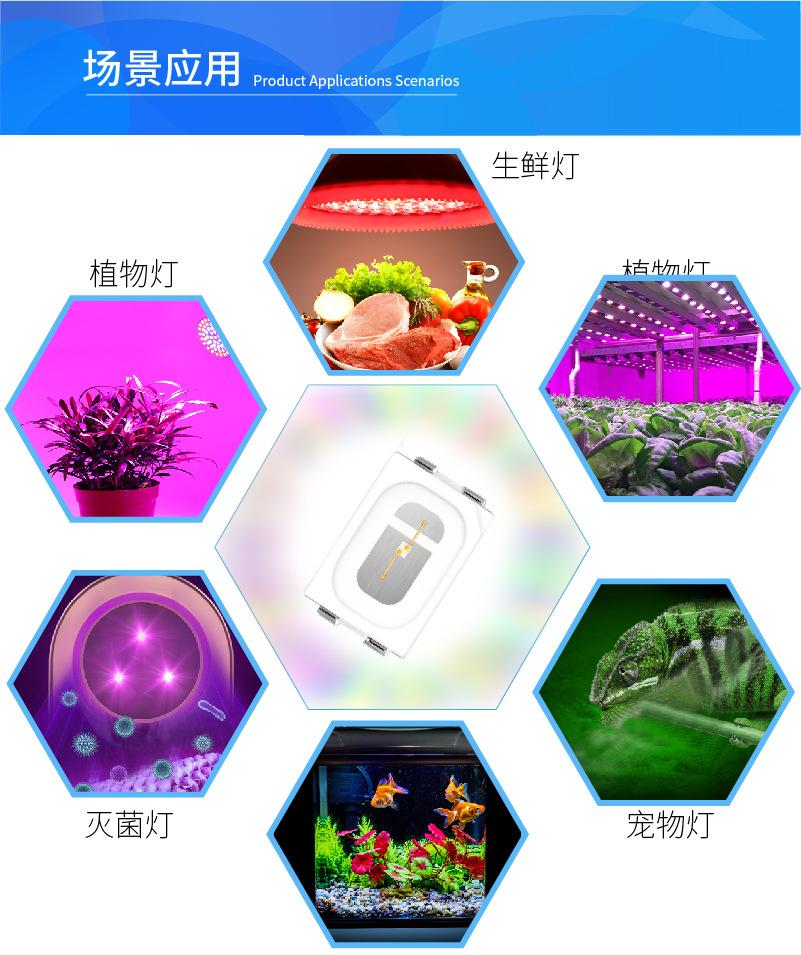 B详情3020-04