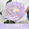 Tinta Spray para Flores, Corante Azul Gelo Triturado Ameixa, Flor de Sabão, Flor Seca, Spray de Arte Floral, Suprimentos para Floricultura Atacado