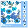 Paquete de Materiales DIY de Flores Secas Flores Prensadas Hechas a Mano Flores Conservadas Marcadores de Libros de Flores Prensadas Hojas de Árbol Real Plantas Pegatinas de Resina Maquillaje Facial