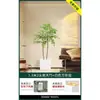 Planta en Maceta de Piso Nandina Domestica, Planta Verde Artificial Grande para Interiores, Decoración de Lujo Ligero para Sala de Estar, Árbol Artificial