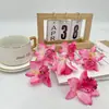 Flores Artificiales al por Mayor, Orquídeas Tailandesas de Siete Colores, Flores para Sombreros de Boda, Flores para el Cabello, Flores Falsas, Pinzas para el Cabello, Tocados de Minorías Étnicas, Flores Falsas