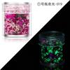 Lentejuelas Luminosas para Arte de Uñas Glitter Luminoso Serie Mágica Set 24 Botellas de Color Esmalte de Uñas Gel Amazon Transfronterizo