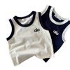 Traje de Bebé para Clase Infantil 2025 Verano Nuevo Conjunto de Dos Piezas Deportivas Casuales con Shorts para Niños y Niñas Venta al por Mayor