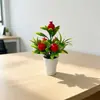 Simulação Transfronteiriça 5 Árvores Frutíferas Pequenos Bonsais Decoração de Casa Fruta da Prosperidade Planta em Vaso Sala de Estar Bancada Ornamento de Planta Verde