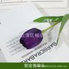 Flor de Tulipán Artificial Individual para Proyectos de Embellecimiento, Decoración de Interiores y Exteriores, Flores Artificiales al por Mayor, Tulipanes para Exhibición en el Hogar