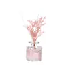 Aromaterapia Flor Seca Enfeites de Aromaterapia Casa Sala de Estar Banheiro Purificador de Ar Líquido Colorido Aromaterapia Sem Chama 50ml Transfronteiriço