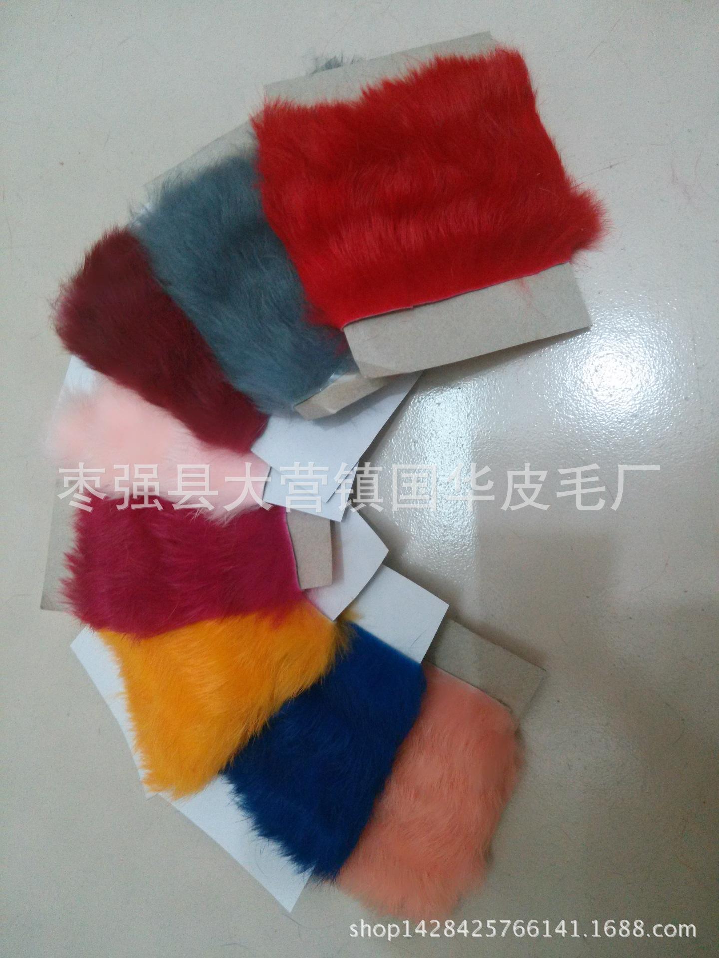 IMG20150801114552