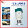 Medidor de Nivel por Radar Inteligente de Alta Frecuencia 80g Medidor de Flujo de Nivel de Agua Onda Guiada Anticorrosivo y a Prueba de Explosiones Medidor de Nivel de Material de Conservación de Agua de Río