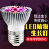 Lámpara LED para plantas Qianrun Lighting, espectro completo, bombilla E27 para plántulas, cultivo de tejidos en invernaderos, luz complementaria para plantar flores.