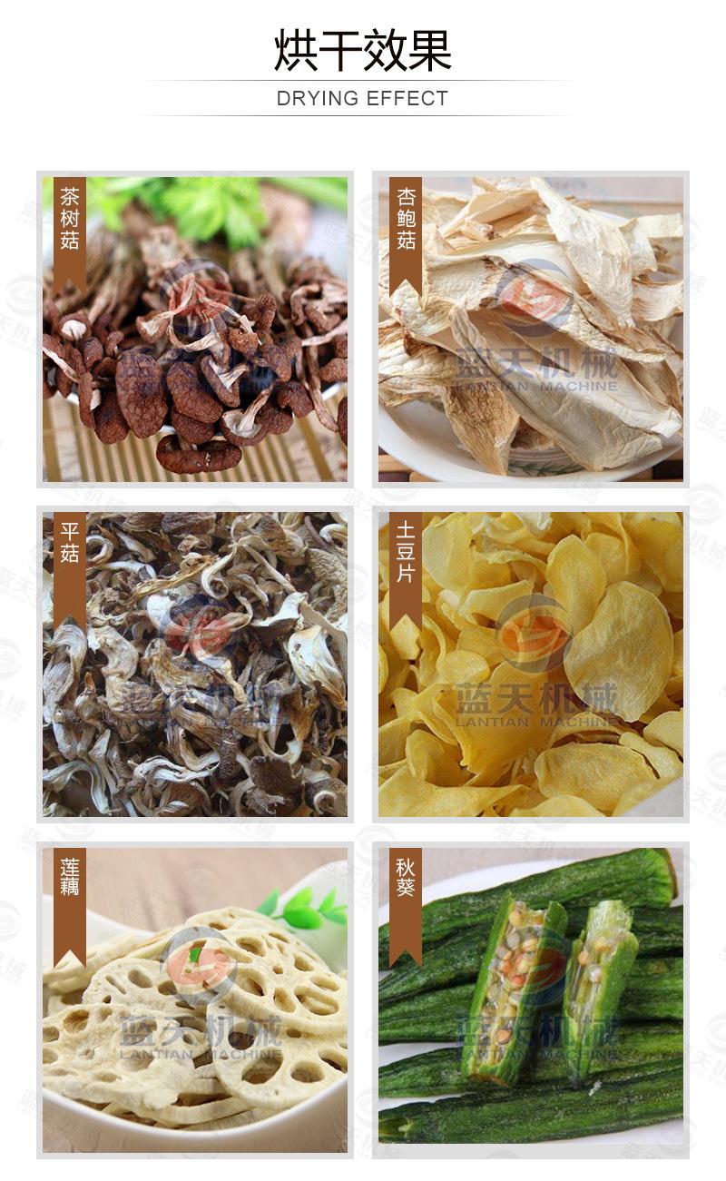 茶树菇烘干机详情_10.jpg
