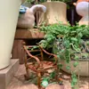 Arco de Ferro Estilo Vintage para Jardim, Inserções, Etiquetas e Placas Florais para Marcadores de Plantas, Decorações de Jardim e Enfeites para Vasos de Suculentas