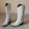 Botas Femininas de Calçar 34-46 Outono-Inverno Transfronteiriças Botas de Couro de Cano Alto Bico Fino Botas Western de Salto Alto Botas Femininas Europeias e Americanas Tamanho Grande