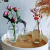 Jarrón Pequeño Minimalista Creativo Irregular de Moda para Sala de Estar Arreglo Floral Hidropónico Mini Jarrón Decoración de Mesa