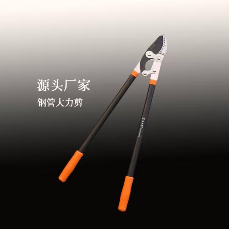 CCD7A06987D81B499F2AE596408243