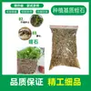 Equipamento Simbiótico Flor Tartaruga Peixe Vegetal Cultivo Sem Solo Sistema de Cultivo Tidal Plantio de Flores em Varanda Dispositivo de Plantio de Vegetais com Sifão