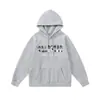 Sudadera con capucha de forro polar para hombre y mujer, sudaderas bordadas de alta calle europeas y americanas de moda Trapstar para dropshipping transfronterizo