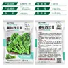 Brócoli No. 1 Semillas, Brócoli, Col rizada, Col rizada, Brócoli, Brócoli, Brócoli, Brócoli, Semillas de Verduras