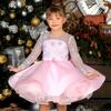 Lindo Vestido de Niña de Manga Larga 2026 Nuevo Estilo Gasa Esponjosa Moderno Pasarela Performance de Piano Vestido Infantil Vestido de Princesa