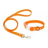 Set de Collar y Correa para Gato y Perro de Color Sólido de PVC, Set de Dos Piezas Impermeable y Resistente a la Suciedad para Mascotas, Personalizable desde la Fábrica de Origen