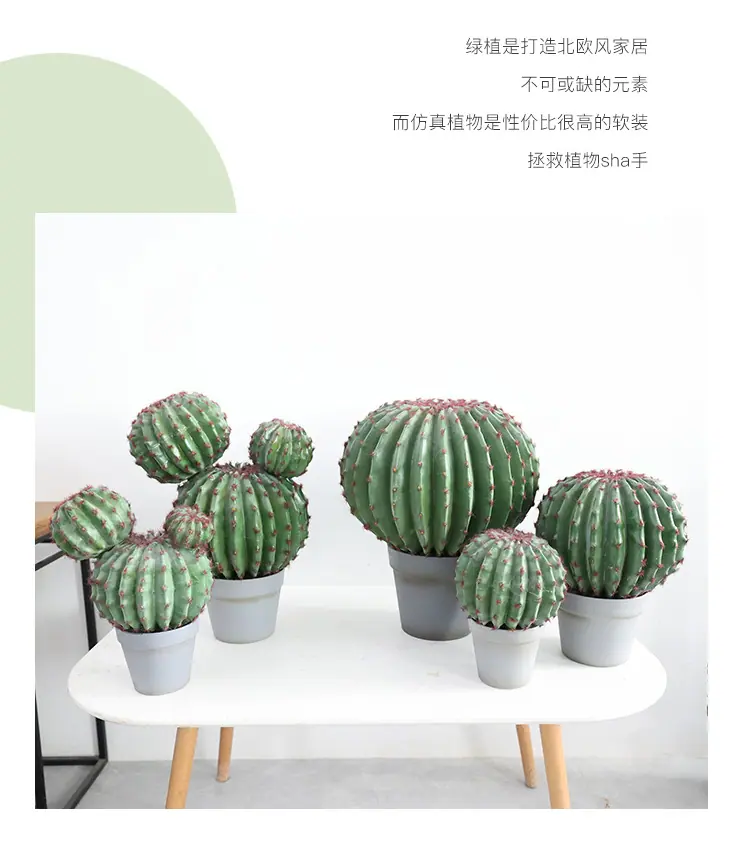 新款植绒仙人掌系列_03.jpg