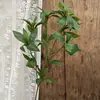 Pico de bambu de galho alto céu estrelado dente-de-leão verde escuro verde claro estilo floresta celebração de casamento decoração marcador de corredor arranjo de flores teto alto material de folha