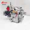 Aplicable a 3021961 Cummins Motores Diésel de Combustible Automotriz Piezas/Conjunto de Bomba de Combustible Pt 4915417