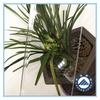 Bafle mecánico de policarbonato de alta resistencia y alta transmisión de luz para fabricación al por mayor de fábrica