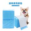 Pañales para mascotas, pañales para perros, pañales desechables de carbón de bambú espesado, adhesivos absorbentes, desodorantes, venta al por mayor