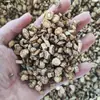 Medicina herbal à prova de vento de várias especificações, origem: Mongólia Interior, Mongólia Exterior, Nordeste da China, Hebei, Gansu. À prova de vento do norte, à prova de vento de Guan