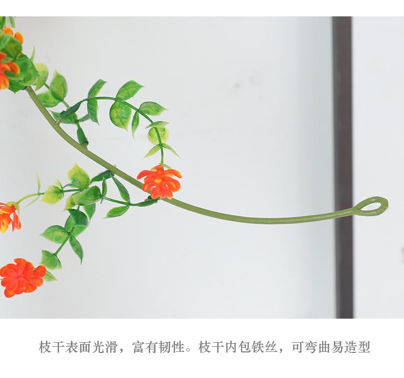 如缕6尺花藤_12.jpg
