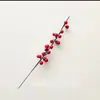 Nochevieja Fruta Roja Frijol Acacia Fruta Roja Fruta de la Fortuna Fruta de la Suerte Tenedor de 21 Puntas Estilo Norteamericano Decoración del Hogar con Fruta Roja