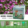 Plantas en Maceta Hechas a Mano para Niños Estudiantes de Primaria para Observar el Crecimiento de las Plantas Cultivo y Germinación DIY Mini Plantas Verdes en Maceta
