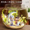 Tanque Pequeño Redondo de Plástico Seleccionado Cuidadosamente, Tanque de Tortuga de Una Pieza Imitación Cristal para Sala Pequeña, Tanque de Peces Dorados de Escritorio