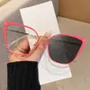 Nuevas Gafas Retro Artísticas Cat-Eye para Mujer, Estilo de Alta Gama, Adecuadas para un Look Natural, Se Pueden Adaptar con Lentes Graduadas, Estilo Coreano, Gafas de Montura Grande