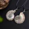 Collar con Colgante Fósil de Caracola Natural Piedra Cruda Muestra Mineral Joyería para Hombres y Mujeres Caracola Manchada Rodajas de Crisocola
