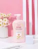 Yileizi Extrato de Planta Sabonete Líquido para Mãos Frescor Desodorizante Remoção de Manchas Detergente para Roupas Íntimas 500ml Atacado de Fábrica