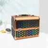 Estojo de Cosméticos Portátil, Caixa de Joias Multifuncional de Grande Capacidade, Caixa de Ferramentas de Liga de Alumínio para Nail Art e Bordado, Simples e Portátil por Atacado