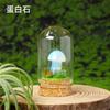 Cristal Natural Pedra Bruta Cogumelo Micro Paisagem Mineral Marca Garrafa Ornamento Cristal Jade Cogumelo DIY Garrafa dos Desejos Garrafa de Deriva