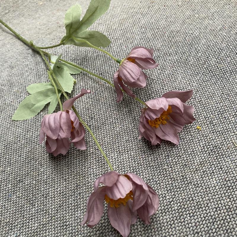 秋色紫