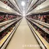 Jaula tipo H para pollos de engorde, Jaula tipo A automática apilada para pollos de engorde, Jaula de paloma galvanizada tridimensional semiautomática, Jaula para pollos de huevo, Jaula para codornices