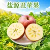 Sichuan Daliangshan Yanyuan Maçã Feia Dropshipping Pele Vermelha Fruta Fresca Embalagem de Caixa Polpa Fina e Crocante Fruta Fresca
