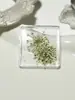 Decorações de Unhas Frescas e Simples Estilo Japonês, Flores Secas, Pétalas Coloridas Pequenas, Adesivos de Unha de Flores Secas de Verão, Atacado