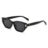Óculos de Sol Europeus e Americanos Estilo Cat-Eye Transfronteiriços Armação Pequena High-End Proteção UV Tendência da Moda Feminina Óculos para Fotografia de Rua