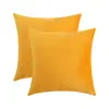 Almohada de Terciopelo Amazon Color Sólido Sala de Estar Lujo Ligero Cuadrada Funda de Almohada Cubierta de Cojín Mesita de Noche Bolsa Suave Almohada
